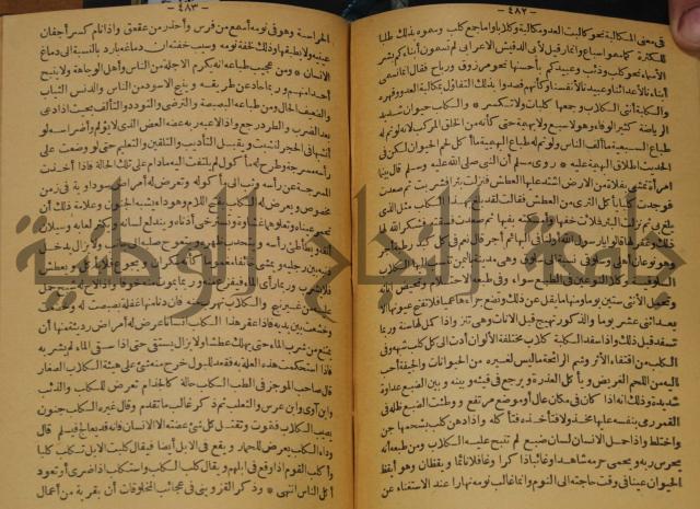 حياة الحيوان الكبرى 