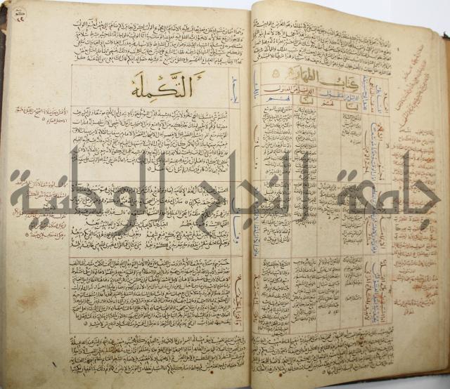 تقويم النظر لإبن الدهان