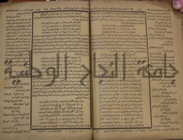 كتاب الاصول الوافية الموسومة بانوار الربيع في الصرف والنحو المعاني والبيان والبديع