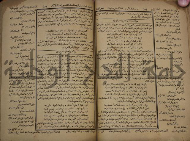 كتاب الاصول الوافية الموسومة بانوار الربيع في الصرف والنحو المعاني والبيان والبديع