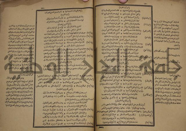 كتاب الاصول الوافية الموسومة بانوار الربيع في الصرف والنحو المعاني والبيان والبديع