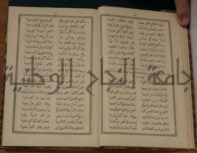 ديوان ترجمان الافكار