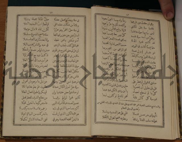 ديوان ترجمان الافكار