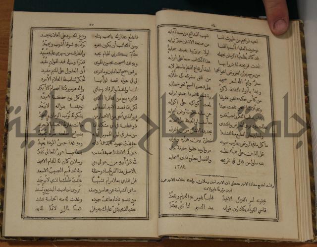 ديوان ترجمان الافكار
