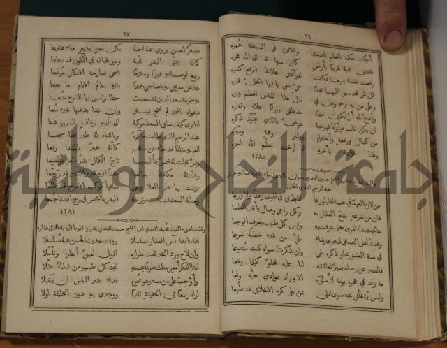 ديوان ترجمان الافكار