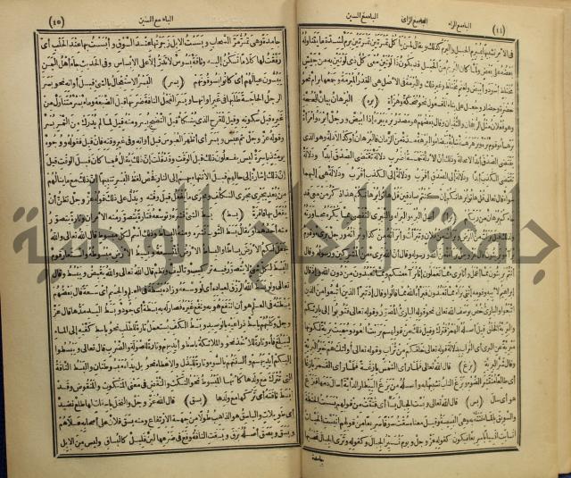 المفردات في غريب القران