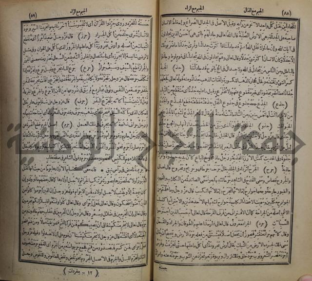 المفردات في غريب القران