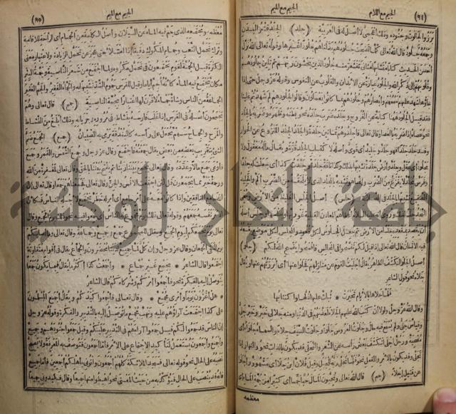 المفردات في غريب القران