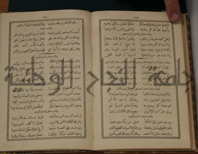 ديوان ترجمان الافكار