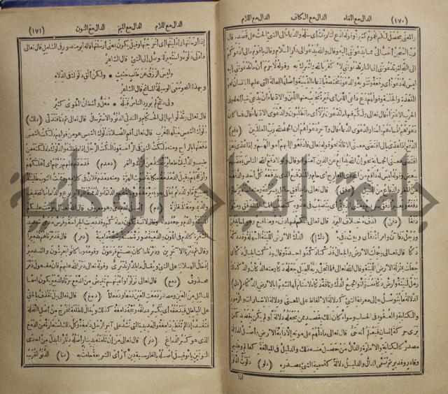 المفردات في غريب القران