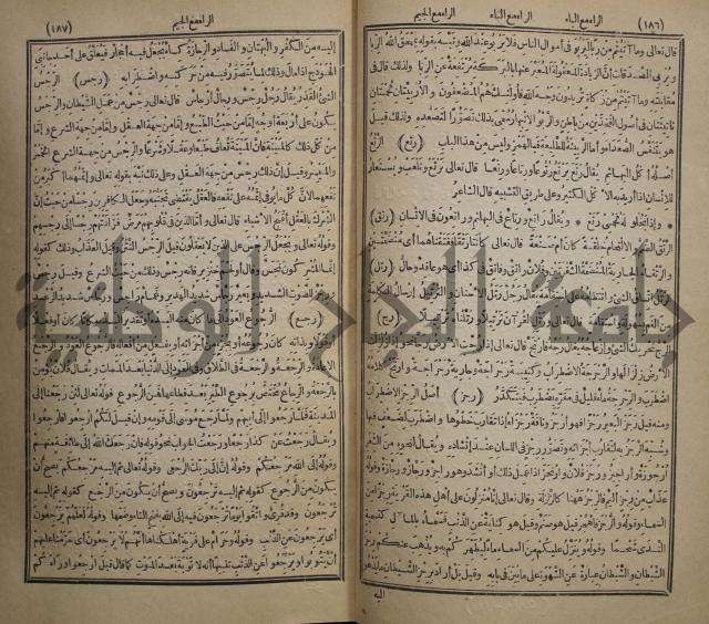 المفردات في غريب القران