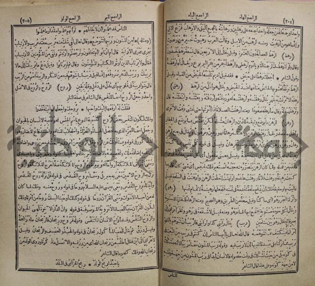 المفردات في غريب القران