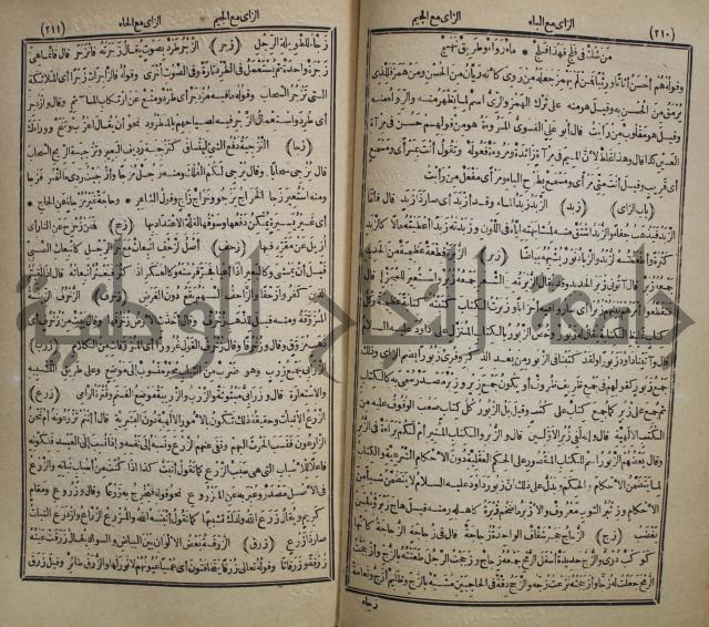 المفردات في غريب القران