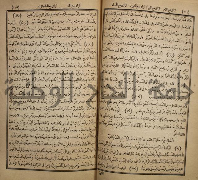 المفردات في غريب القران