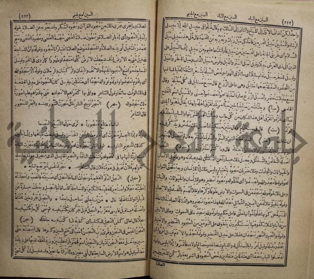 المفردات في غريب القران