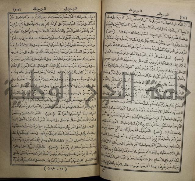 المفردات في غريب القران