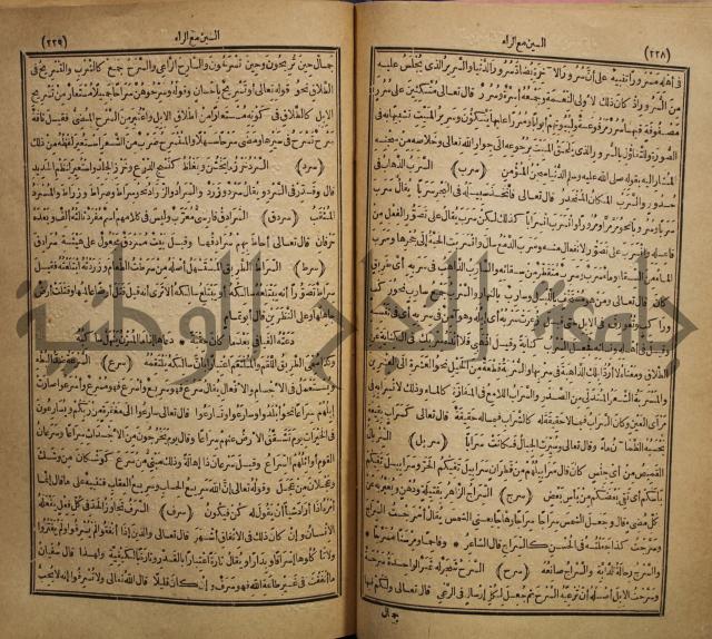 المفردات في غريب القران