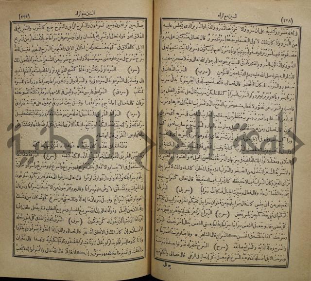 المفردات في غريب القران