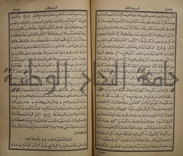 المفردات في غريب القران