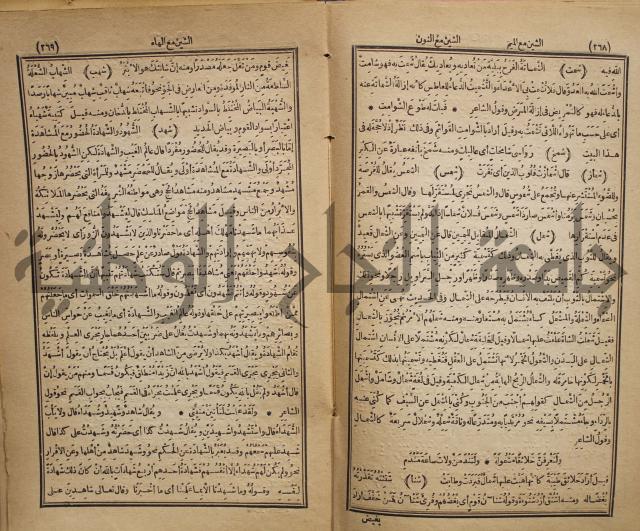 المفردات في غريب القران