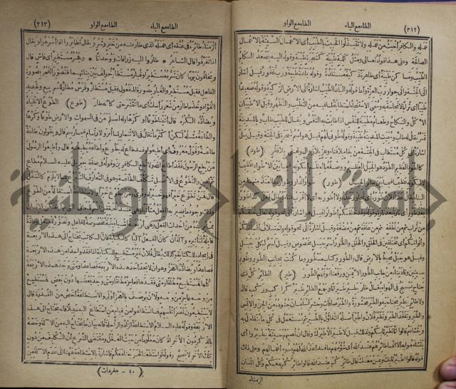 المفردات في غريب القران