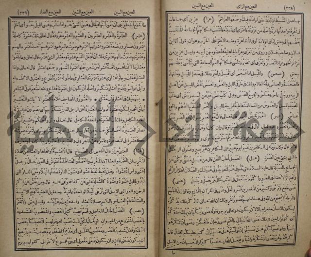 المفردات في غريب القران