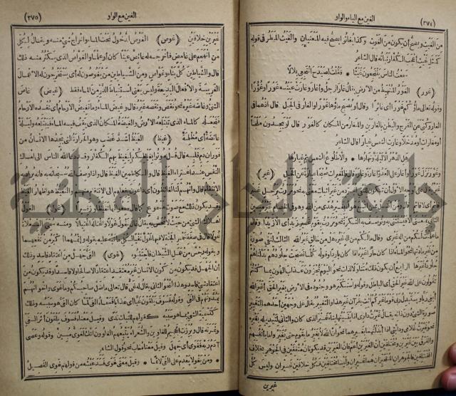 المفردات في غريب القران