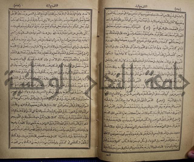 المفردات في غريب القران