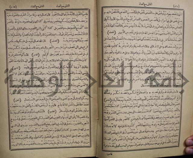 المفردات في غريب القران