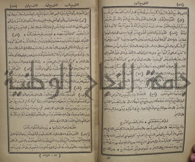 المفردات في غريب القران