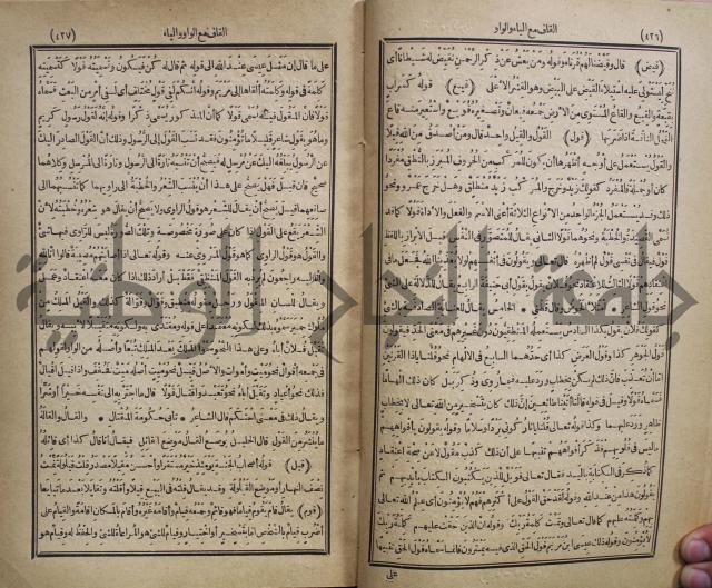 المفردات في غريب القران
