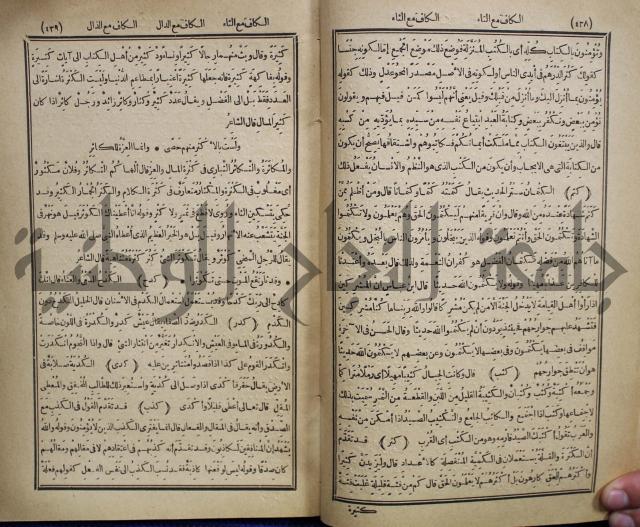 المفردات في غريب القران