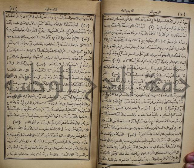 المفردات في غريب القران