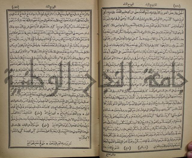 المفردات في غريب القران