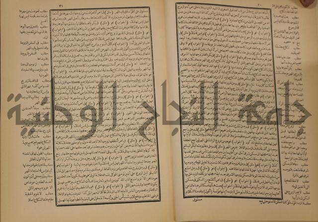 العقود الدرية في تنقيح الفتاوى الحامدية 