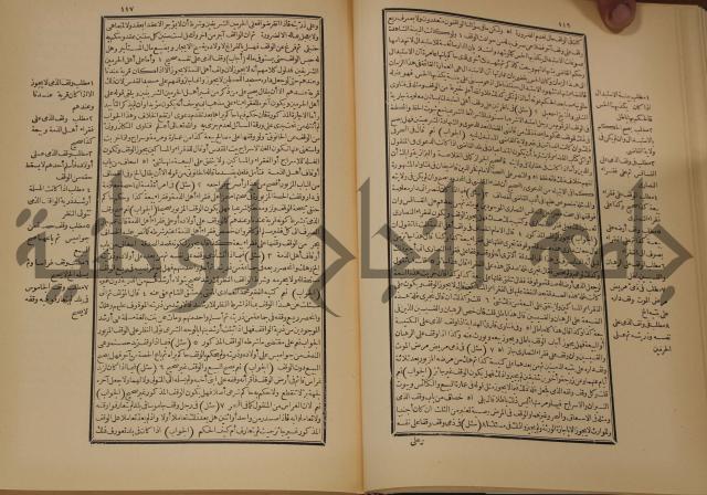 العقود الدرية في تنقيح الفتاوى الحامدية 