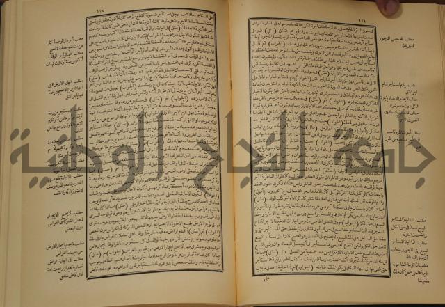 العقود الدرية في تنقيح الفتاوى الحامدية 