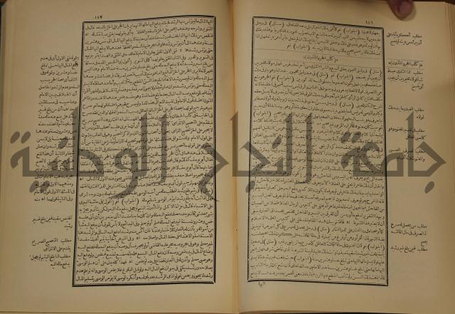 العقود الدرية في تنقيح الفتاوى الحامدية 