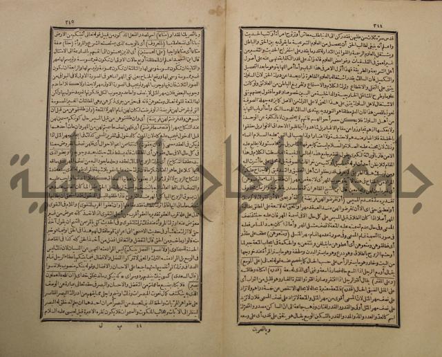 تفسير القران المسمى بروح البيان