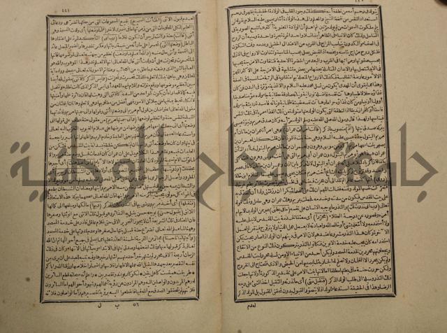 تفسير القران المسمى بروح البيان