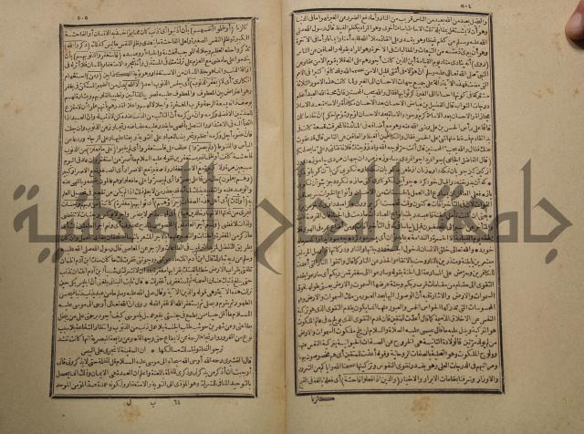 تفسير القران المسمى بروح البيان