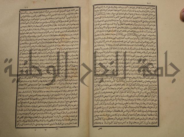 تفسير القران المسمى بروح البيان