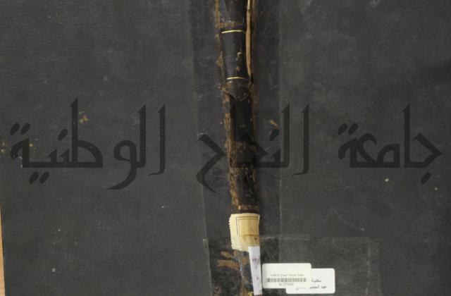 الجزء الاول والجزء الثاني من الجامع الصحيح