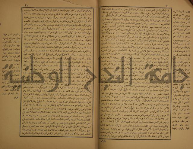 حاشية الخضري على شرح ابن عقيل على الفية ابن مالك