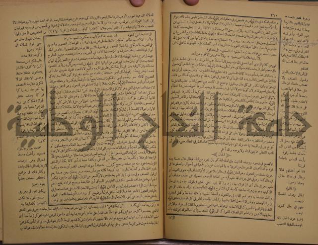 حاشية الخضري على شرح ابن عقيل على الفية ابن مالك