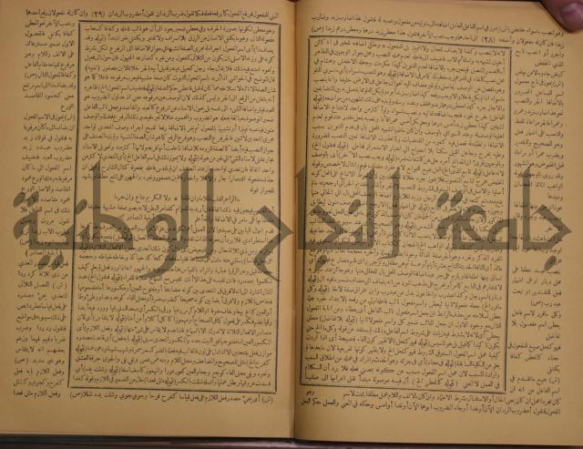 حاشية الخضري على شرح ابن عقيل على الفية ابن مالك