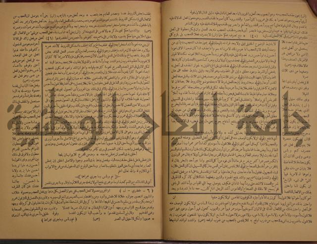 حاشية الخضري على شرح ابن عقيل على الفية ابن مالك