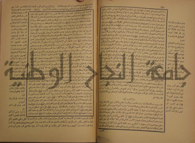 حاشية الخضري على شرح ابن عقيل على الفية ابن مالك
