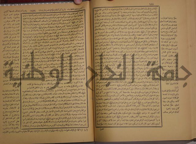 حاشية الخضري على شرح ابن عقيل على الفية ابن مالك