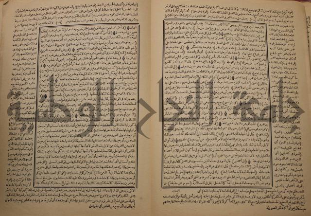 السراج المنير شرح الجامع الصغير في حديث البشير النذير : ج3